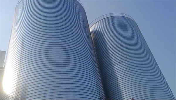 昌黎2座混凝土高架卷板仓